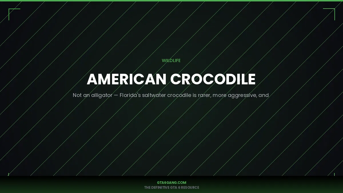 American Crocodile — real-world reference image
