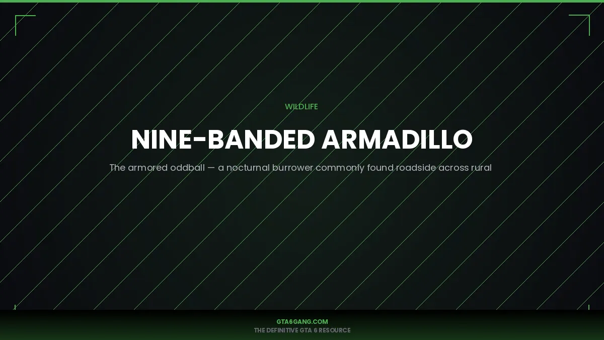 Nine-Banded Armadillo — real-world reference image