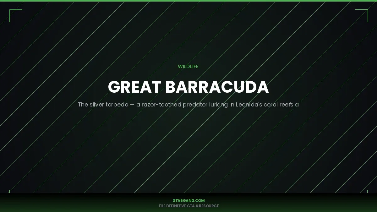 Great Barracuda — real-world reference image