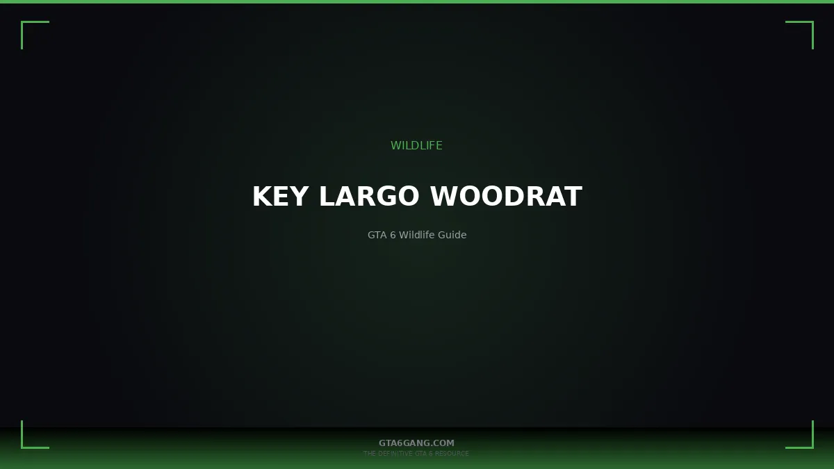 Key Largo Woodrat in GTA 6 — Wildlife guide on GTA6Gang.com