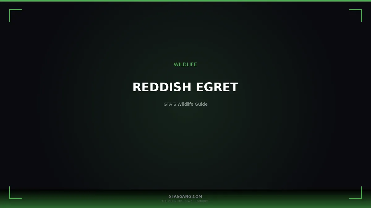 Reddish Egret in GTA 6 — Wildlife guide on GTA6Gang.com