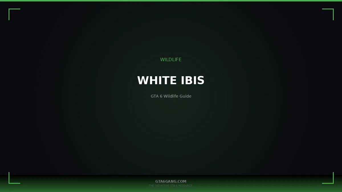 White Ibis in GTA 6 — Wildlife guide on GTA6Gang.com